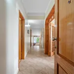 Apartment Sunny Ponta 
